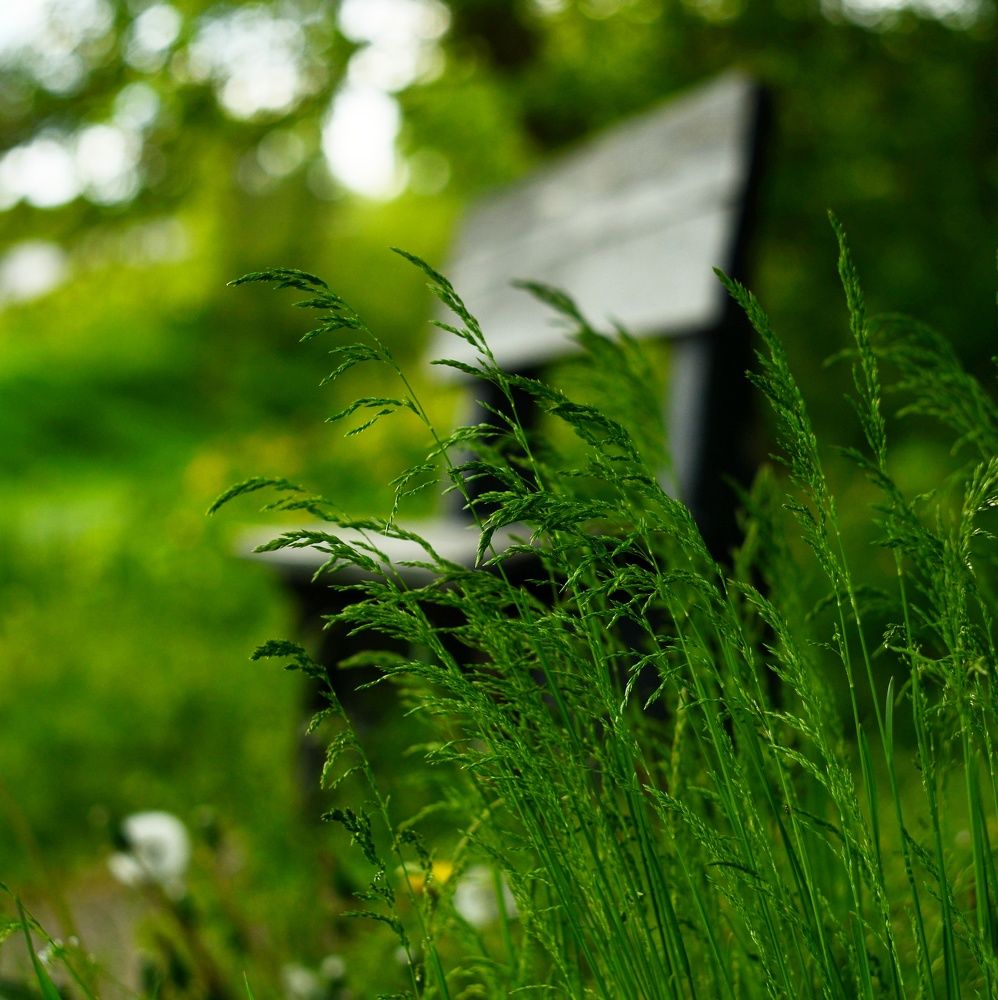 Photograph by Александра Гончаренко Александра Гончаренко