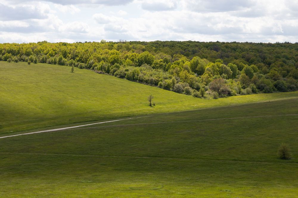 Photograph by Александра Гончаренко Александра Гончаренко