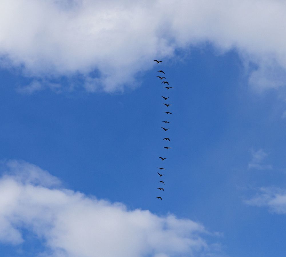 Photograph by Александра Гончаренко Александра Гончаренко