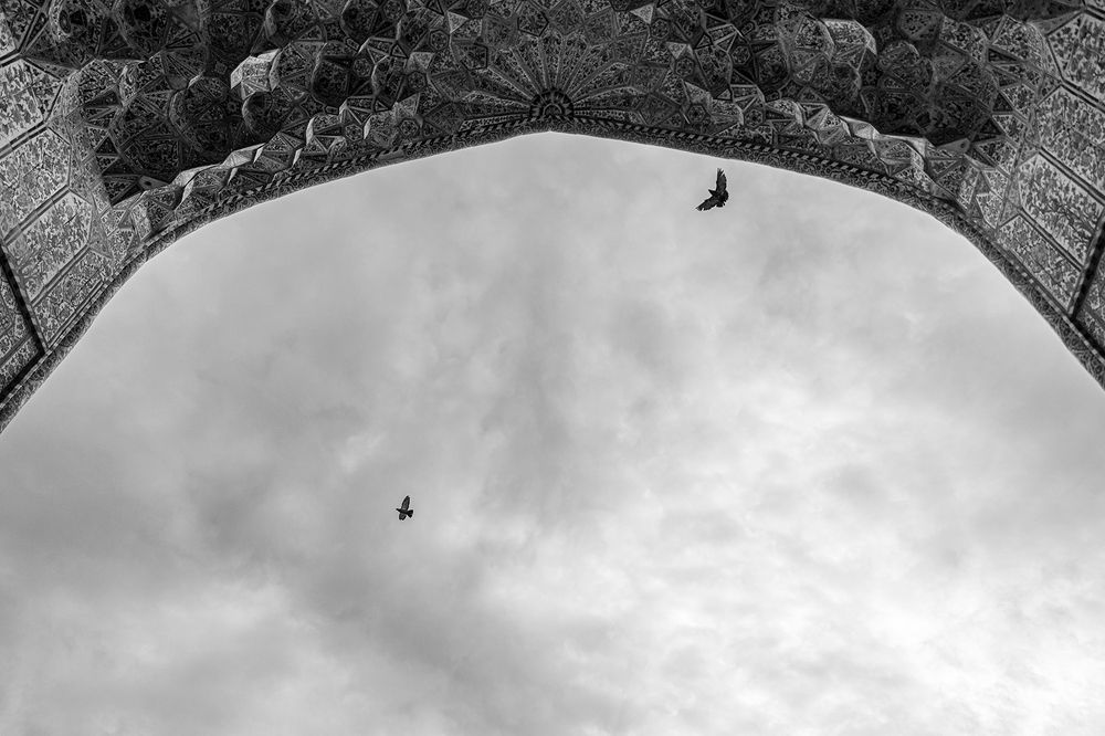 Photograph by sadegh alavi