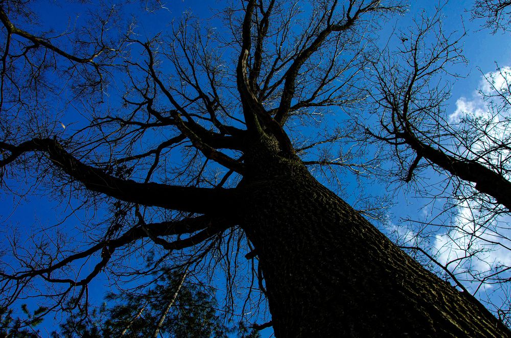 Фотография автора Ирина Якущенко