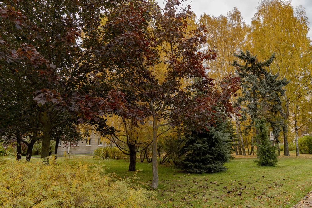 Photograph by Марина Вильдяева