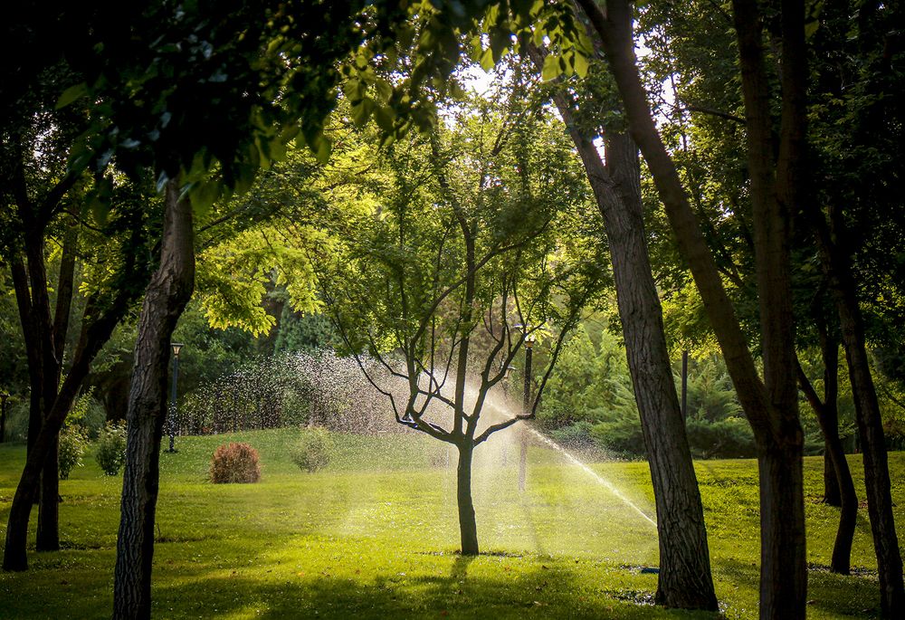 Photograph by Mahdi vagahri shorche