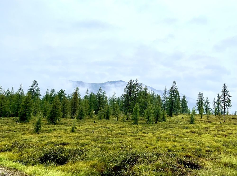 Photograph by Dmitriy Marchenko