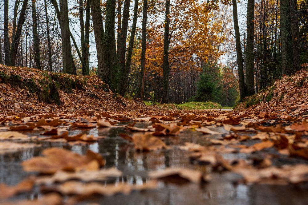 Photograph by Юрий Платухин