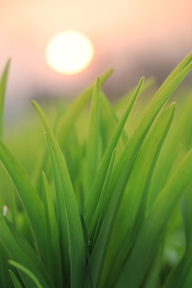 Photograph by Dmitriy Marchenko