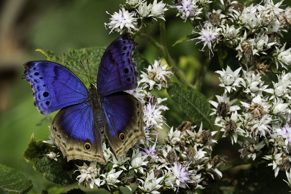 Photograph by Ricardo Ferreira