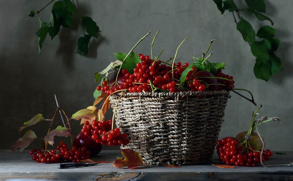 Натюрморт с калиной красной/Still life with red viburnum