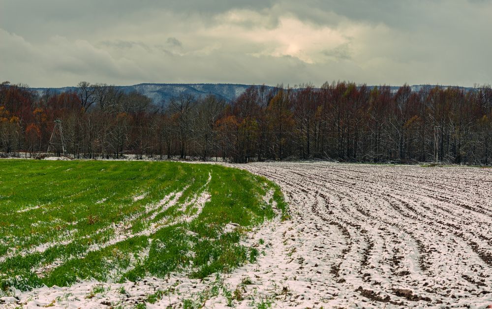 Photograph by Владимир