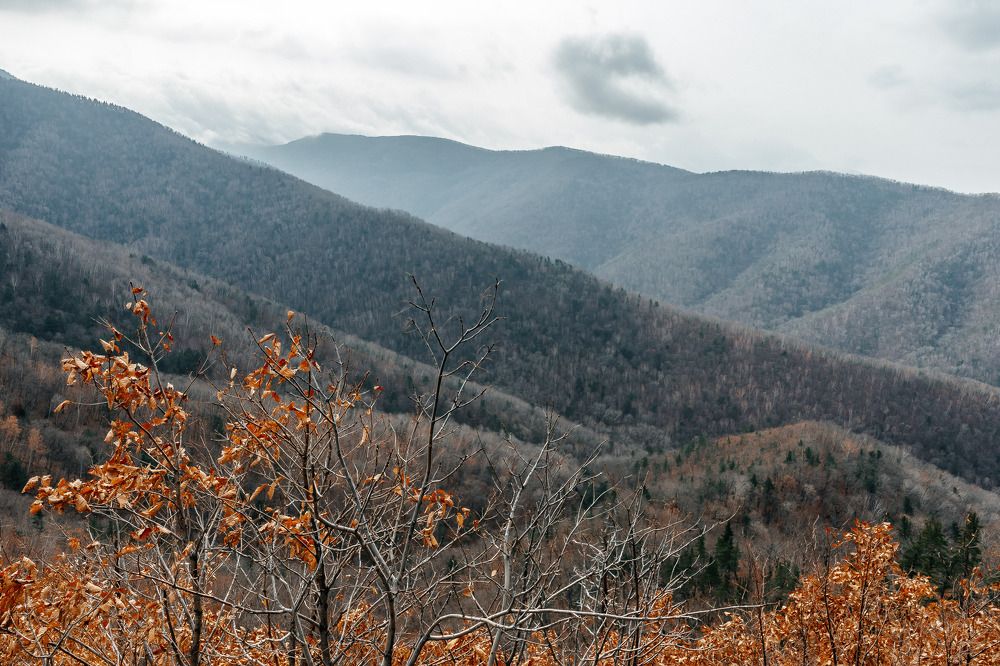 Фотография автора Александра Глускер