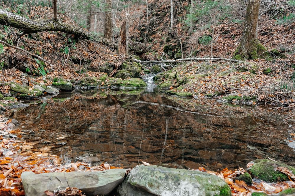 Фотография автора Александра Глускер
