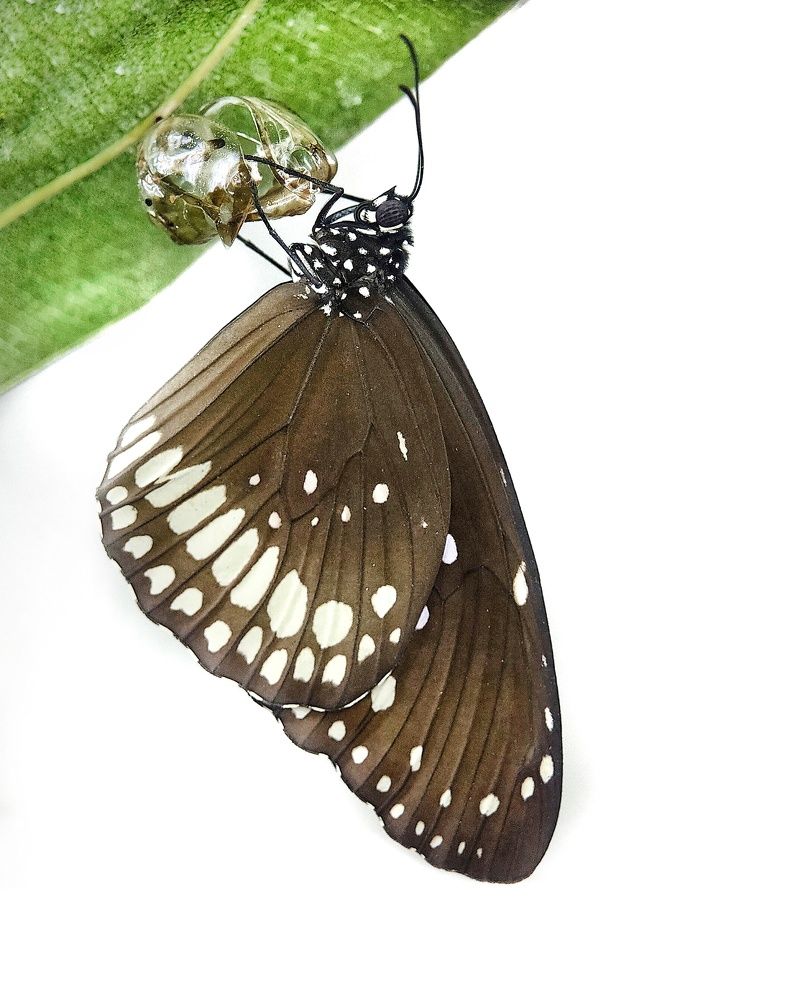 Photograph by Satishkumar Prakash