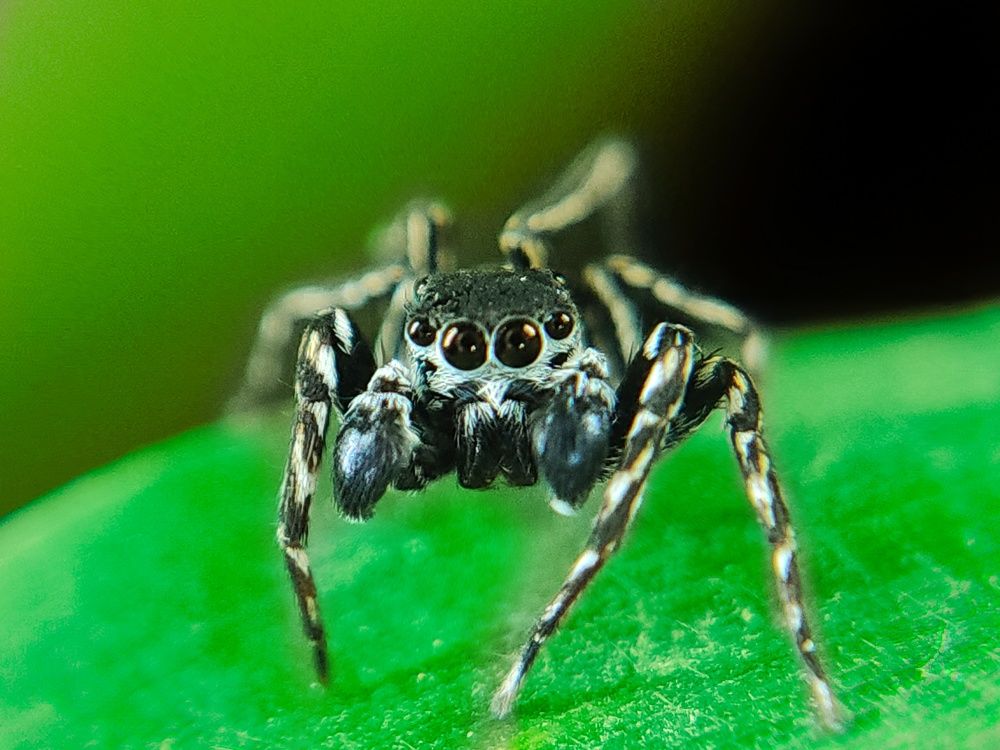 Photograph by Satishkumar Prakash