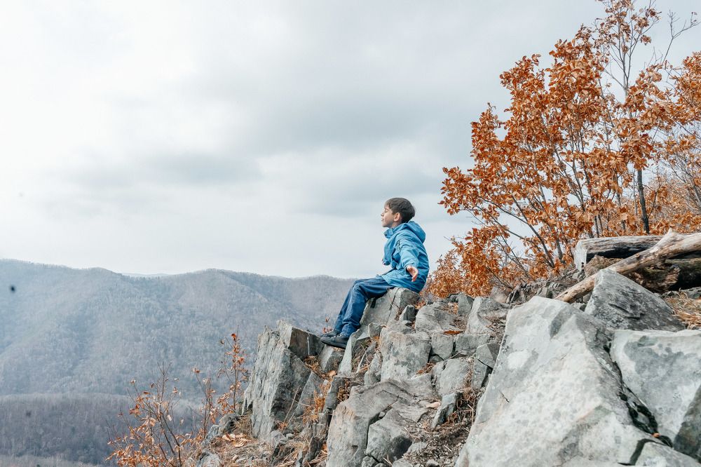 Фотография автора Александра Глускер