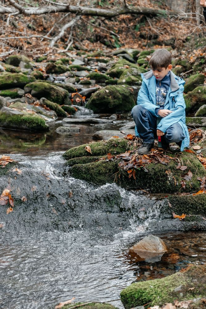 Фотография автора Александра Глускер
