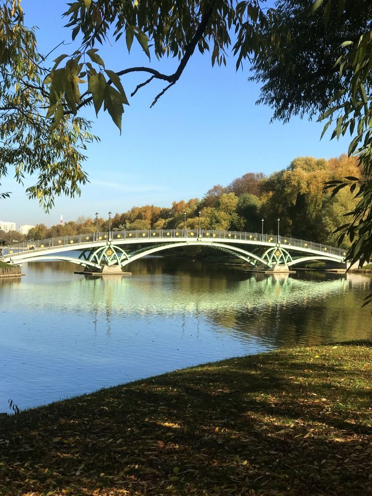 Photograph by Татьяна Шибанова