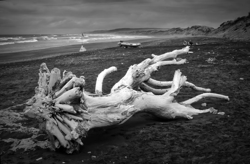 Photograph by Johan Koch