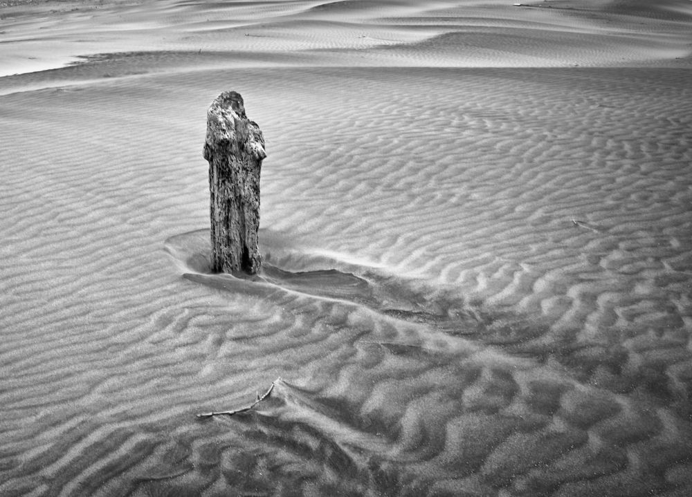 Photograph by Johan Koch