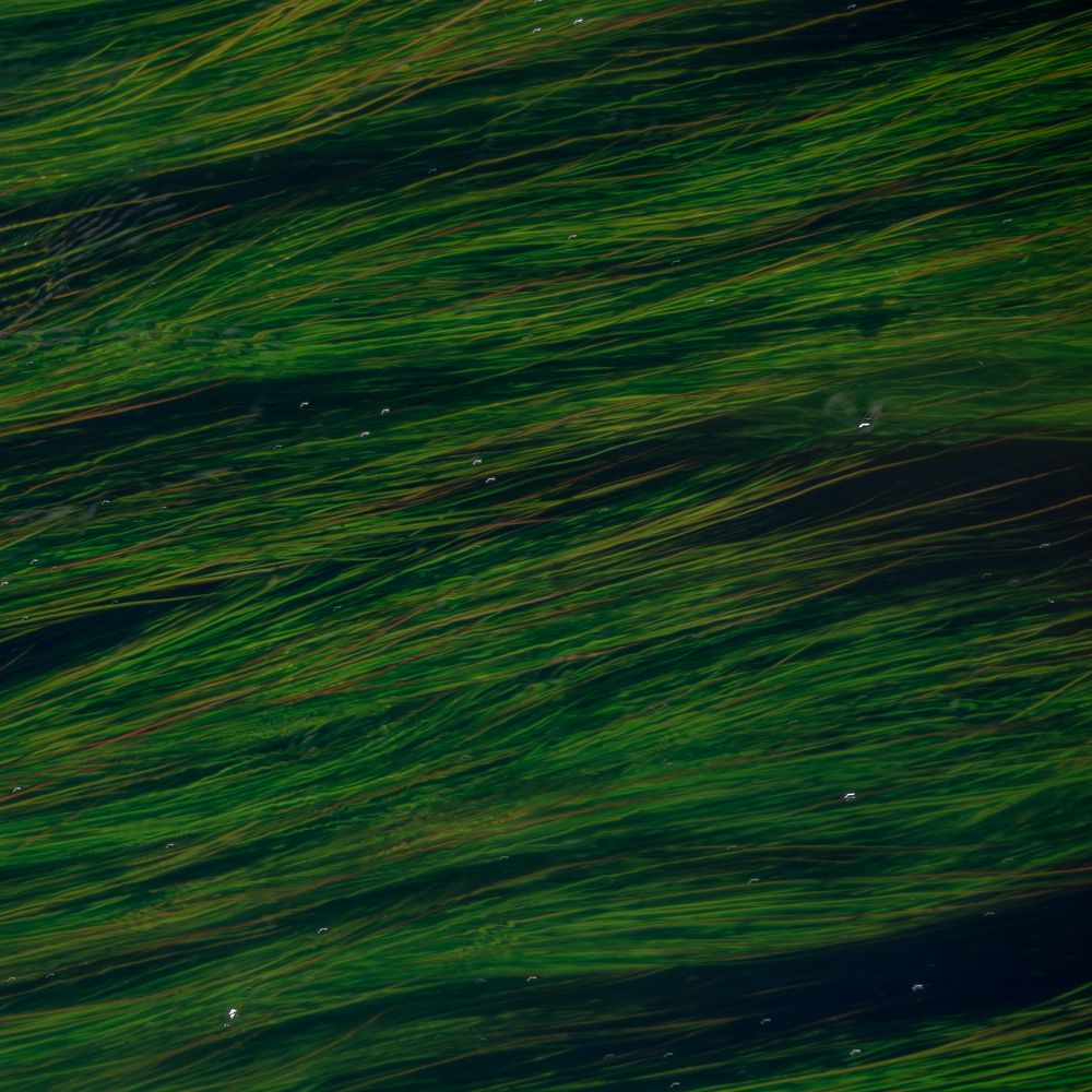 Photograph by Сергей Богданов