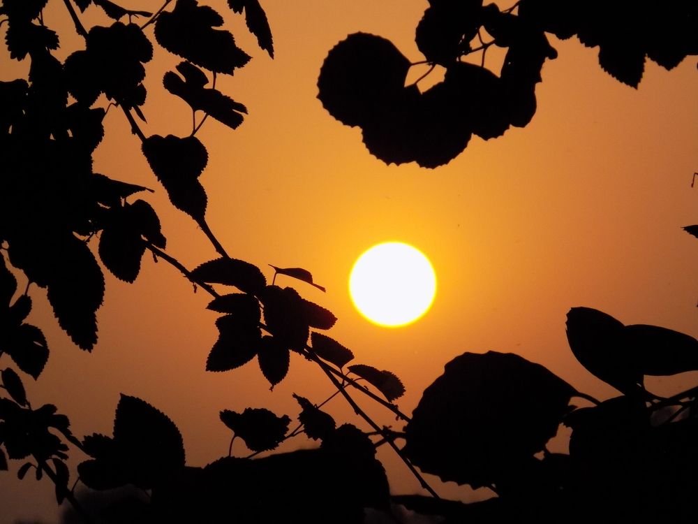 Photograph by DEEPAK PRINCE