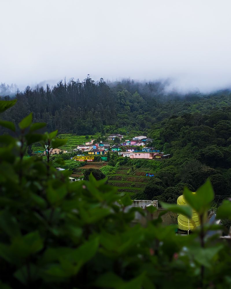 Photograph by SIBIN V