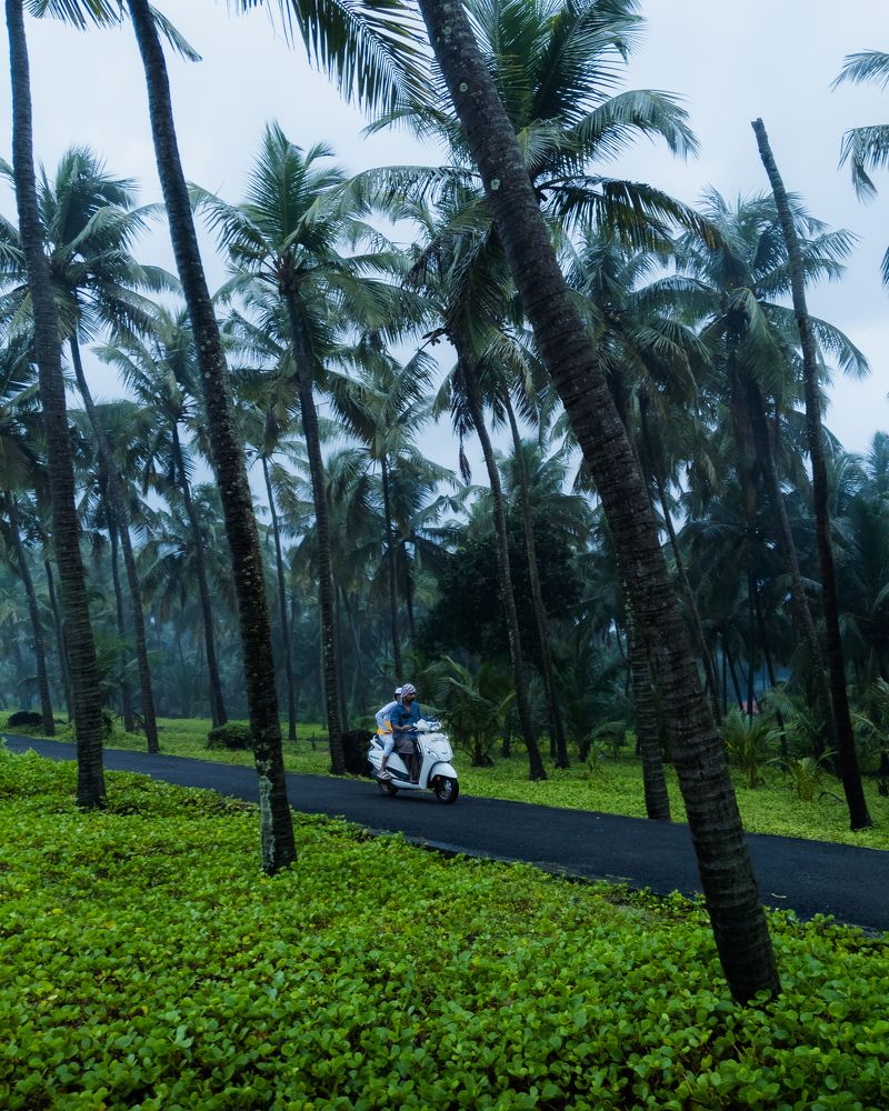 Photograph by SIBIN V