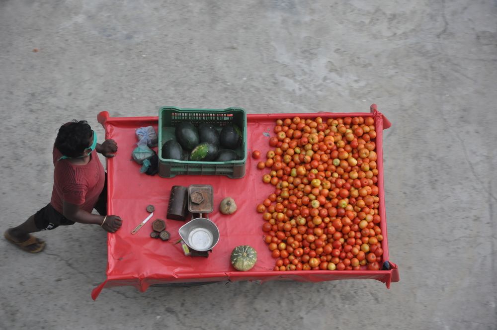 Photograph by SHARMA SANDEEP KUMAR SHARMA