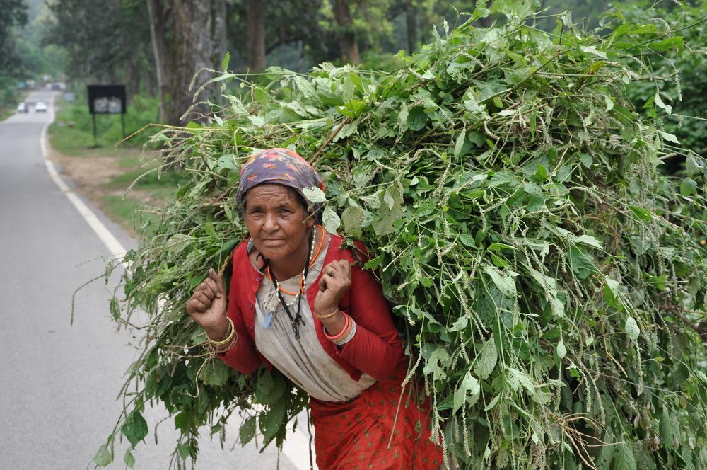 Photograph by SHARMA SANDEEP KUMAR SHARMA