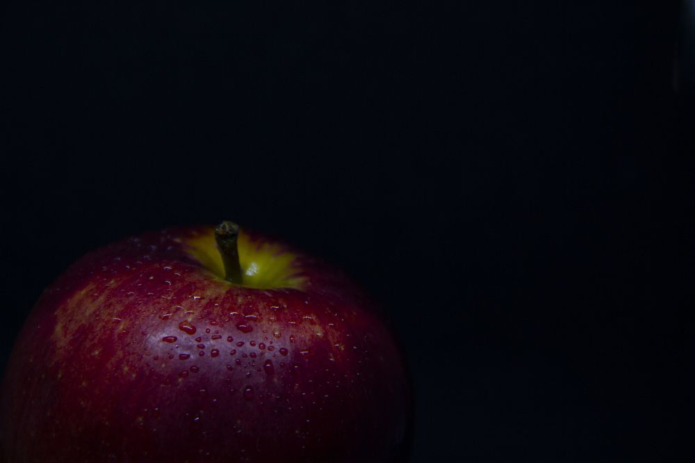 Photograph by Anna Gapanovich