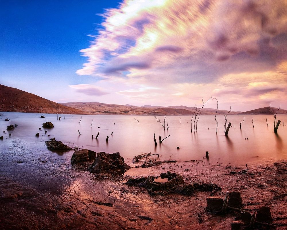 Photograph by Arash Abbaspoory