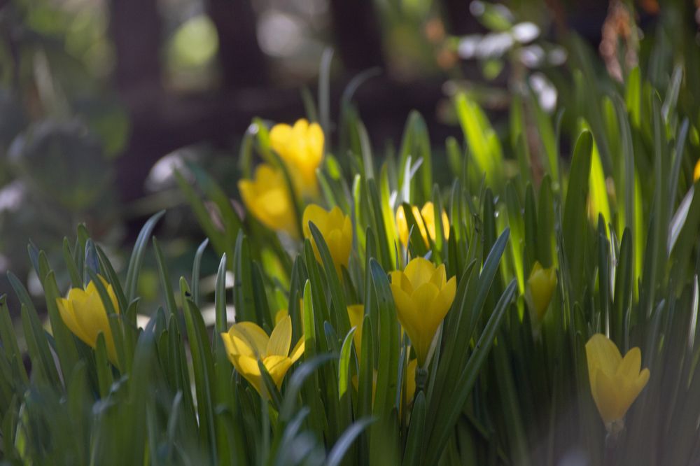 Фотография автора OXANA MARSOVA