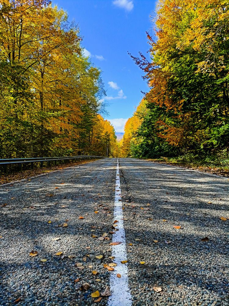 Photograph by Олег Башкуров