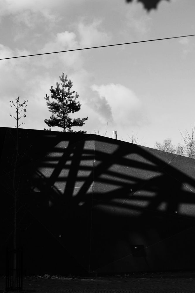 Photograph by Milena Paile