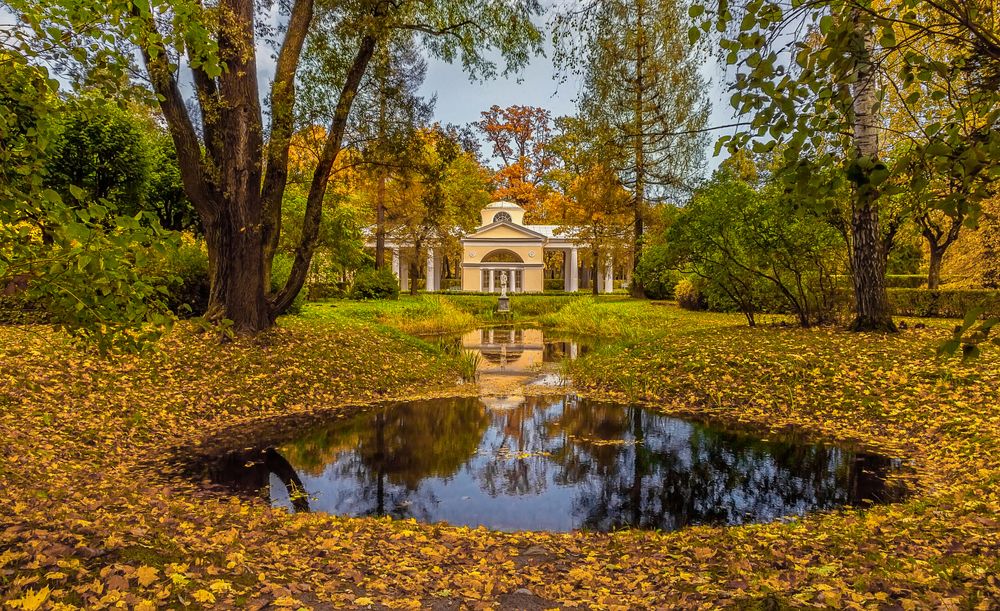 Photograph by Клясюк Галина