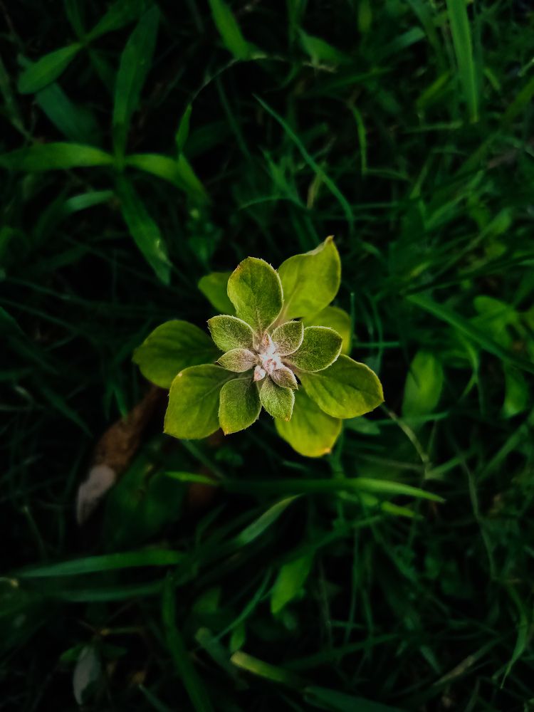 Photograph by Souvik Bhattacharyya