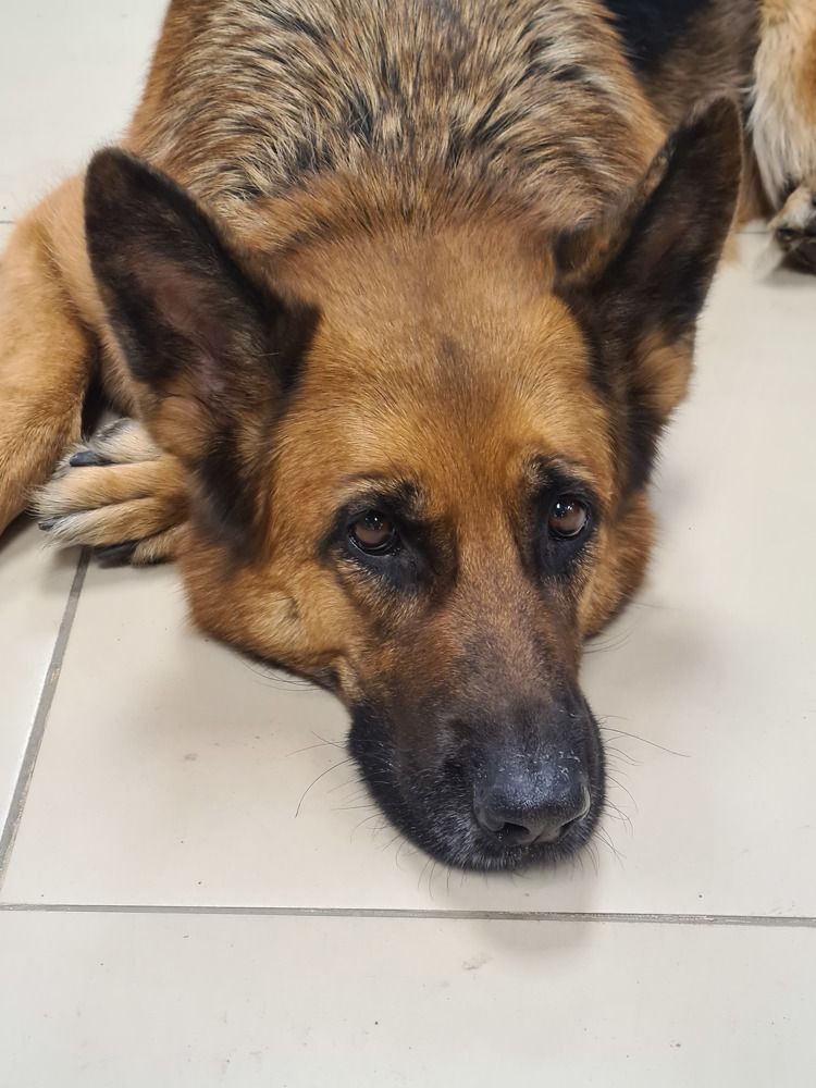 Photograph by arikacat