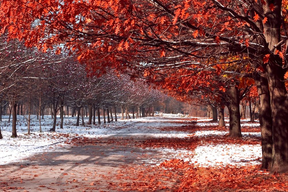 Photograph by  Павел