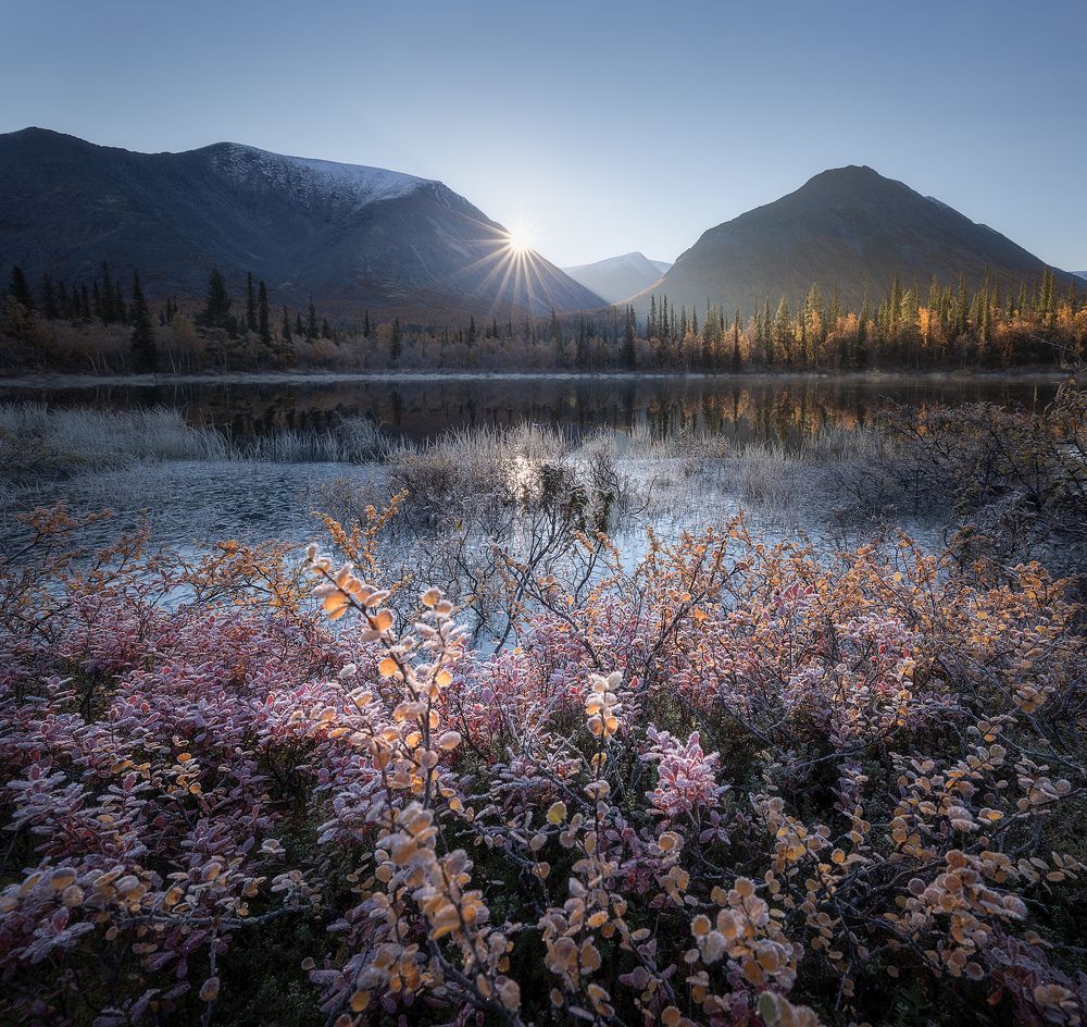 Морозное утро