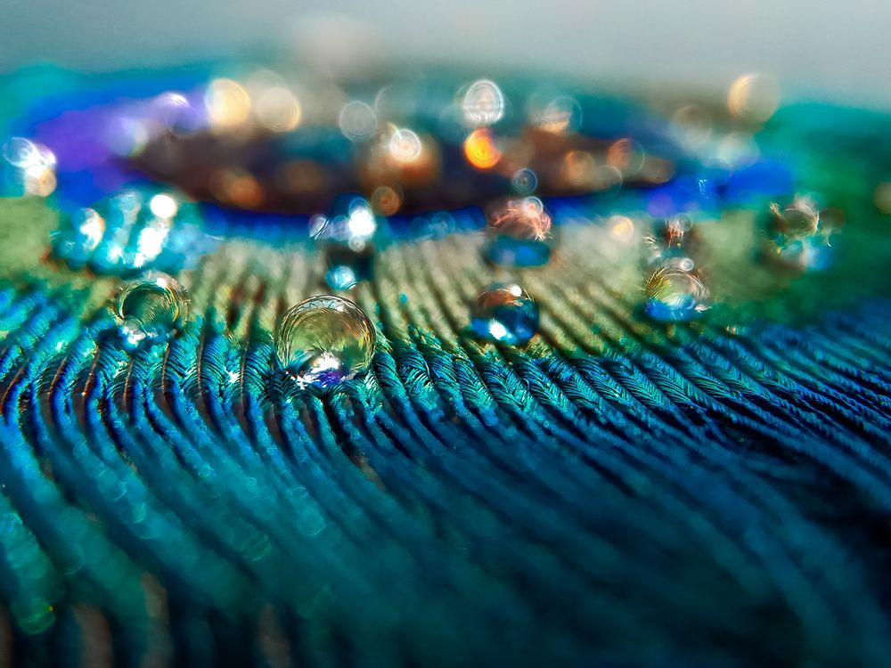 Photograph by Souvik Bhattacharyya