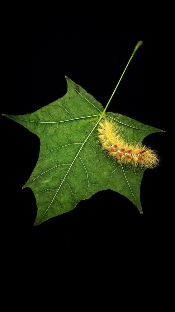 Photograph by Людмила Казак