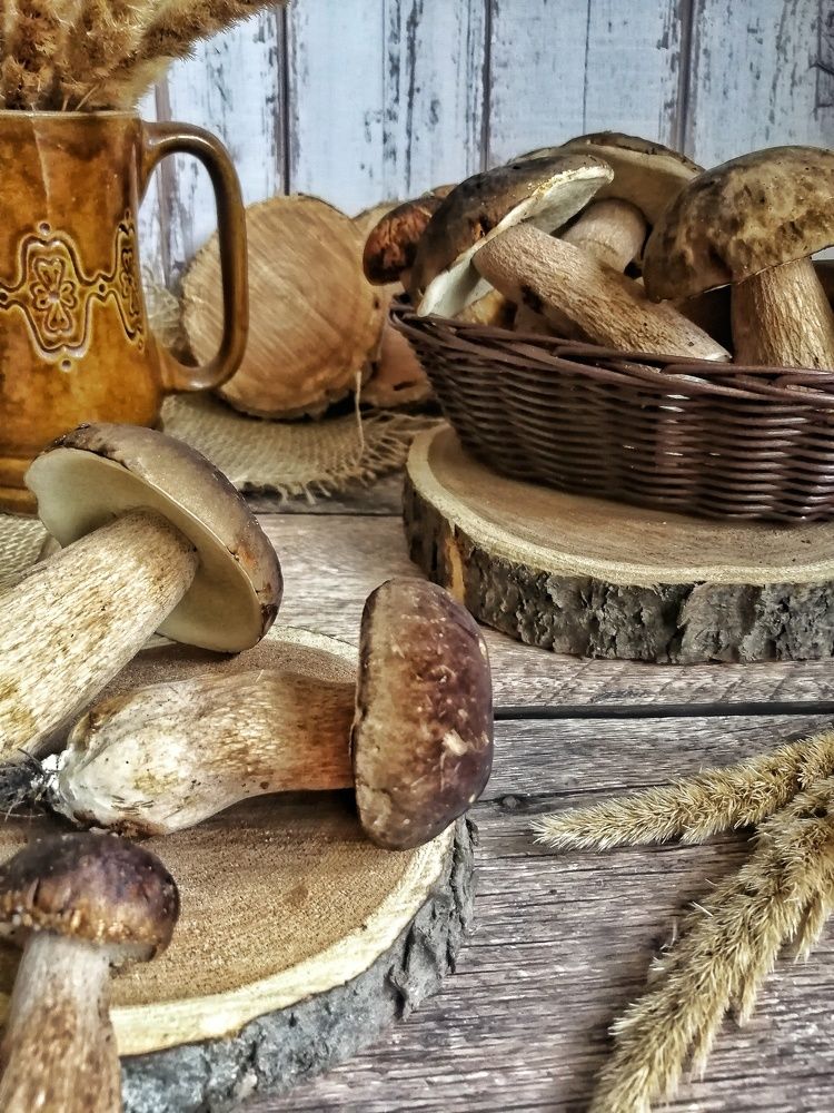 Фотография автора Fotolove Tasha