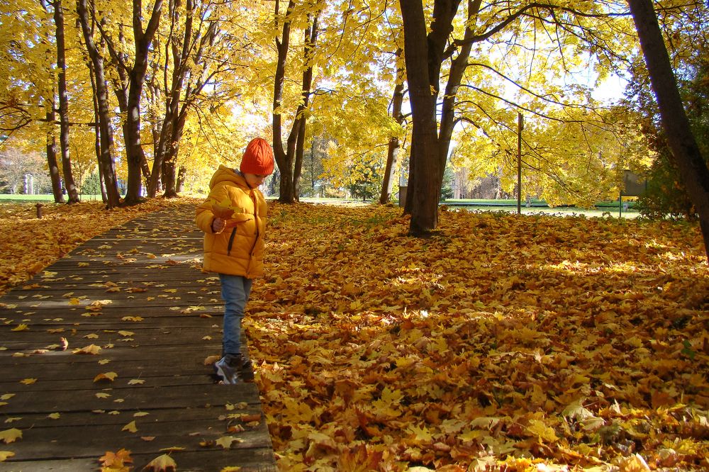 Девочка-осень