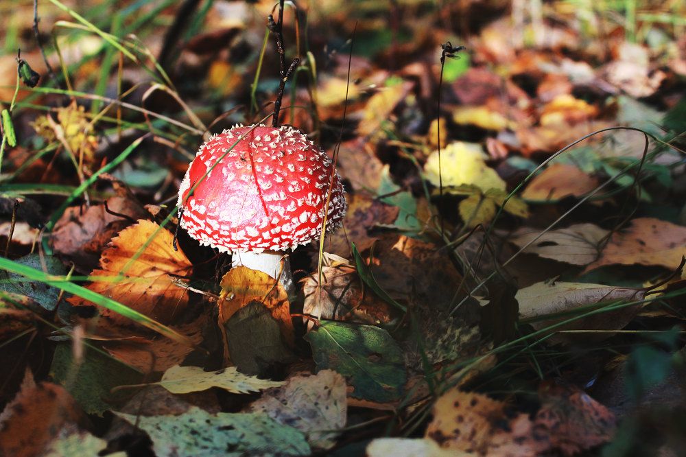 Photograph by Наталья Касимова