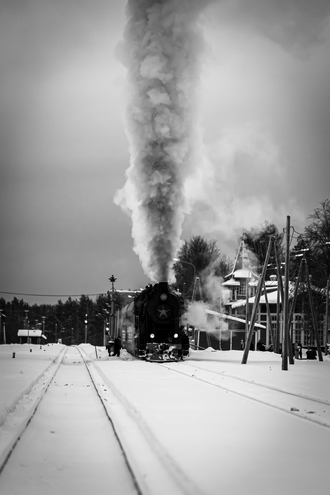 Photograph by Алексей Петров