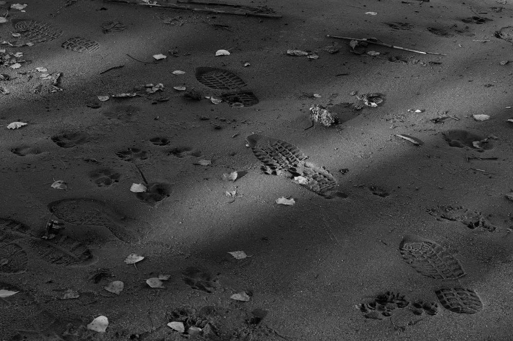 Photograph by Milena Paile