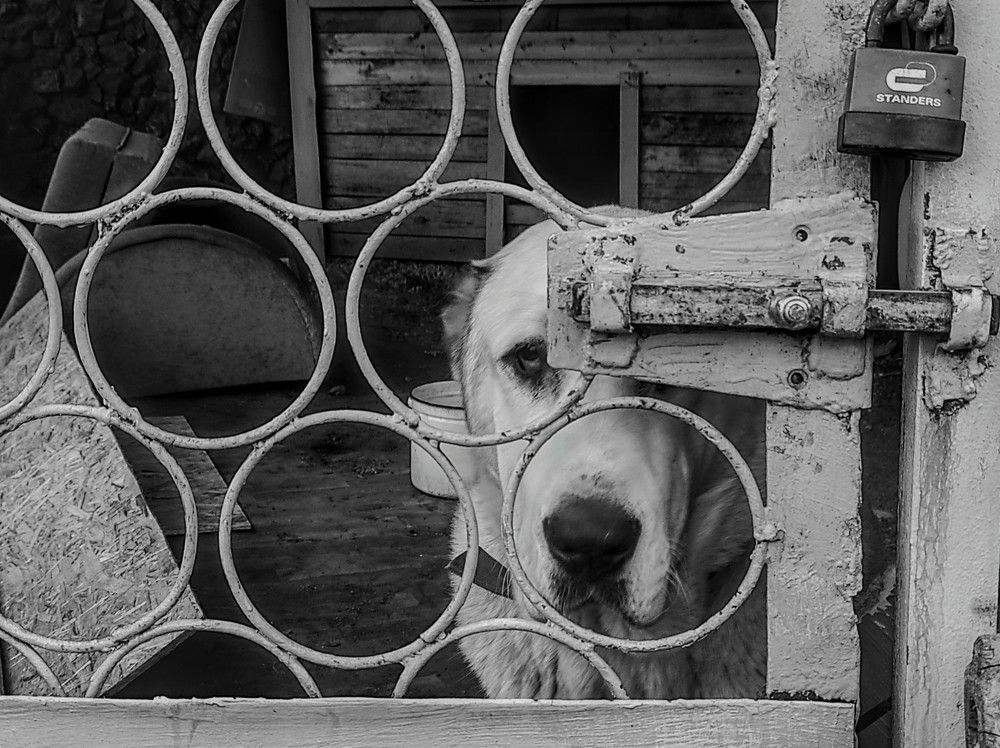 Photograph by Ирина Саттарова