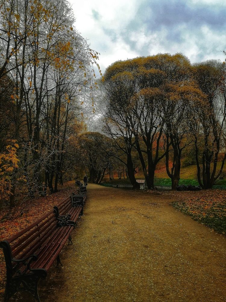 Photograph by Лилия Багдасарова