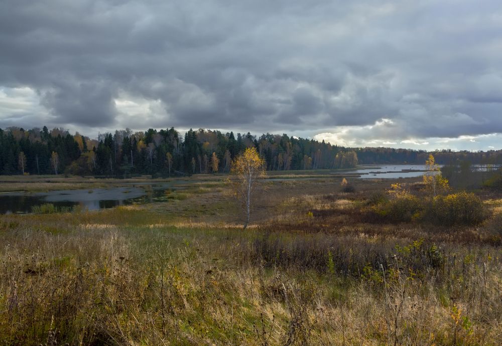Photograph by Сальников Сергей