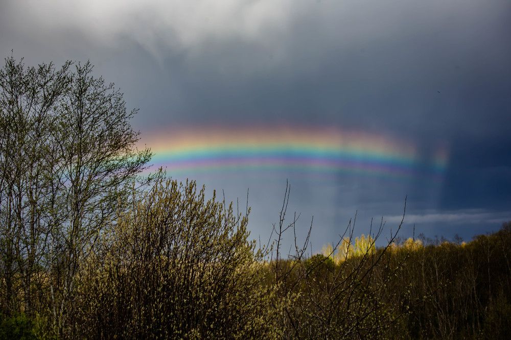 Photograph by Ольга Сафронова