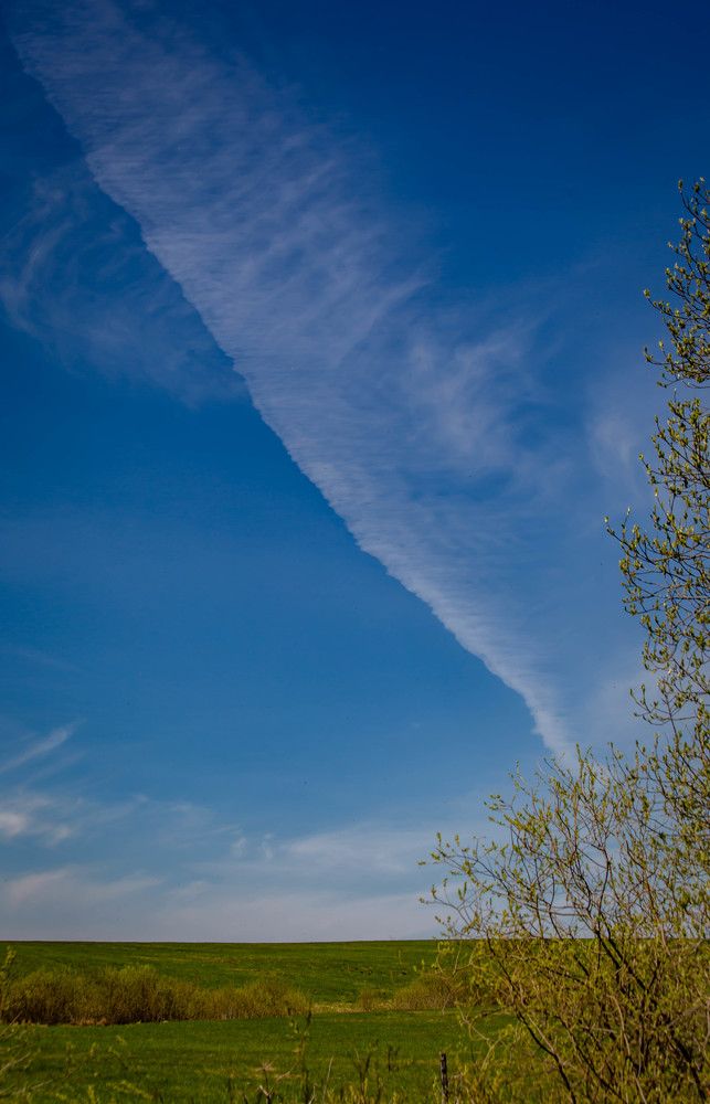 Photograph by Ольга Сафронова